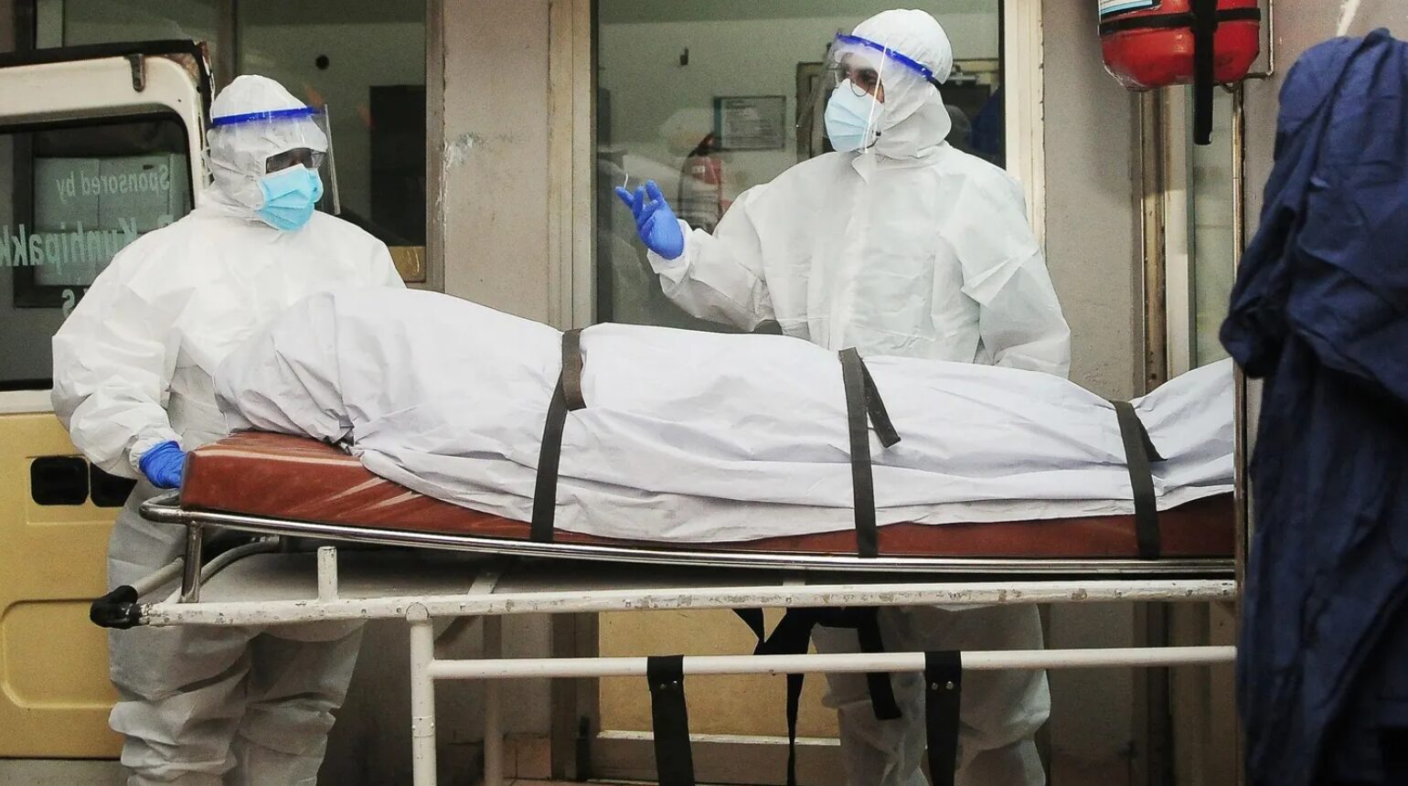 فيروس نيباه: تهديد صحي عالمي