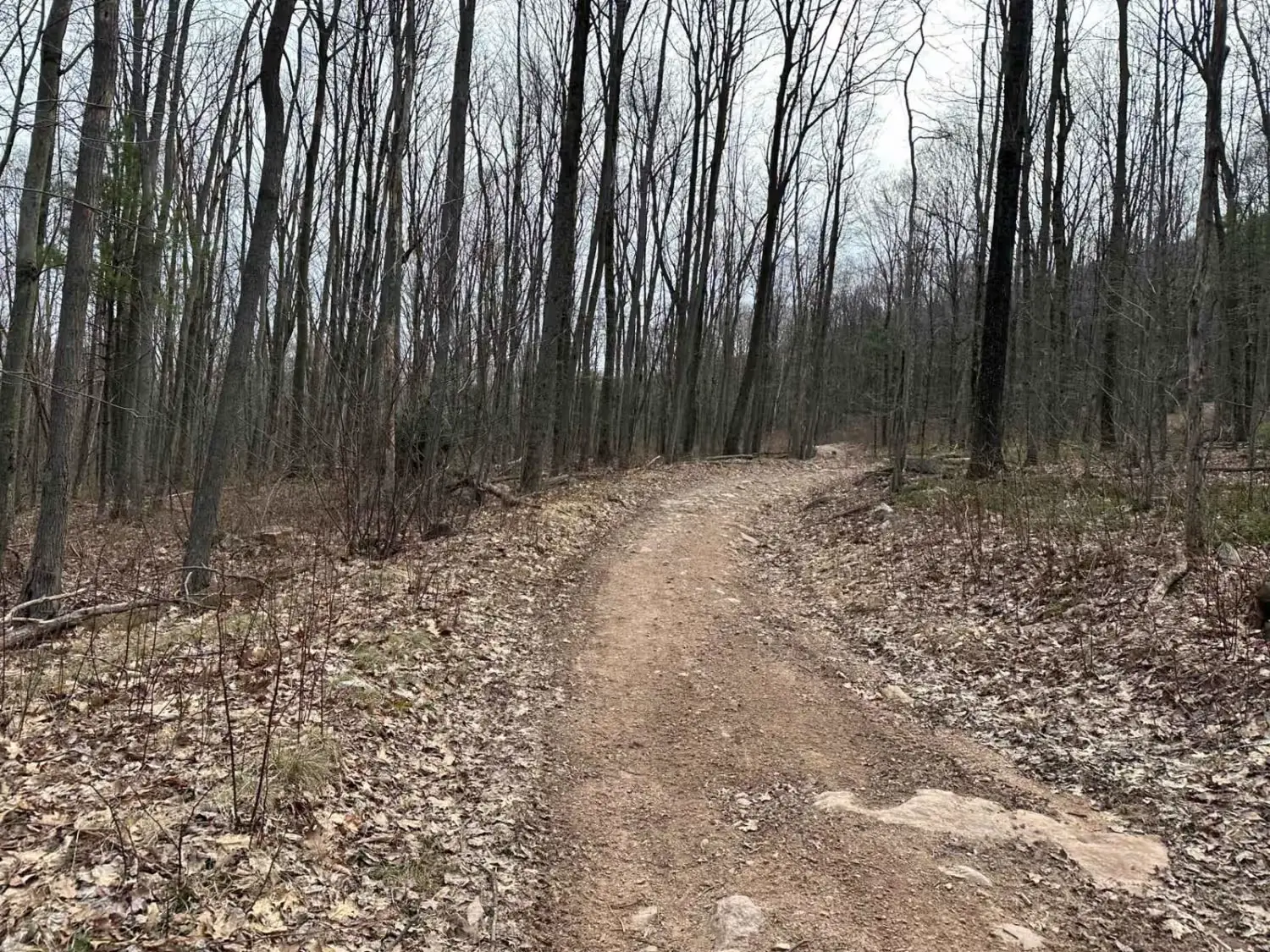 astkshaf mdynt aldar albydaʾ qlb almghrb alhdyth