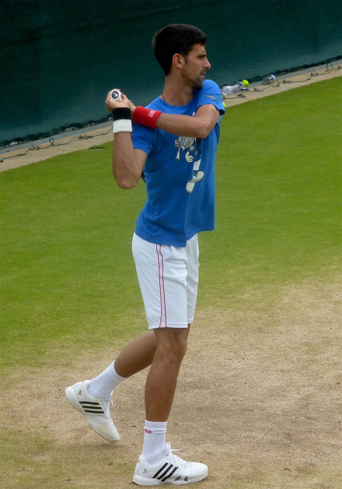 استعراض مسيرة نوفاك ديوكوفيتش في عالم التنس