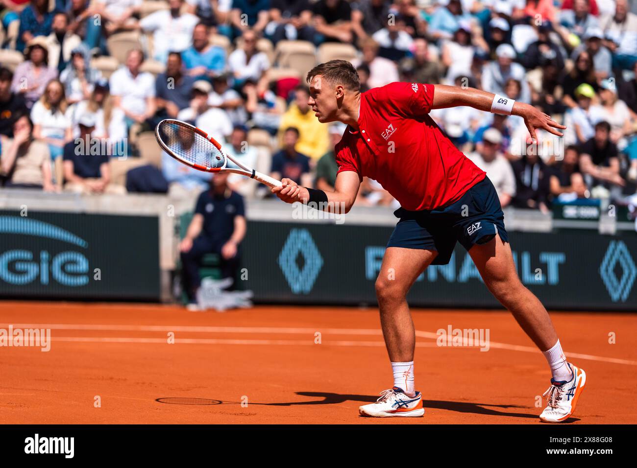حمد مدجدovic: نجم كرة السلة الصاعد