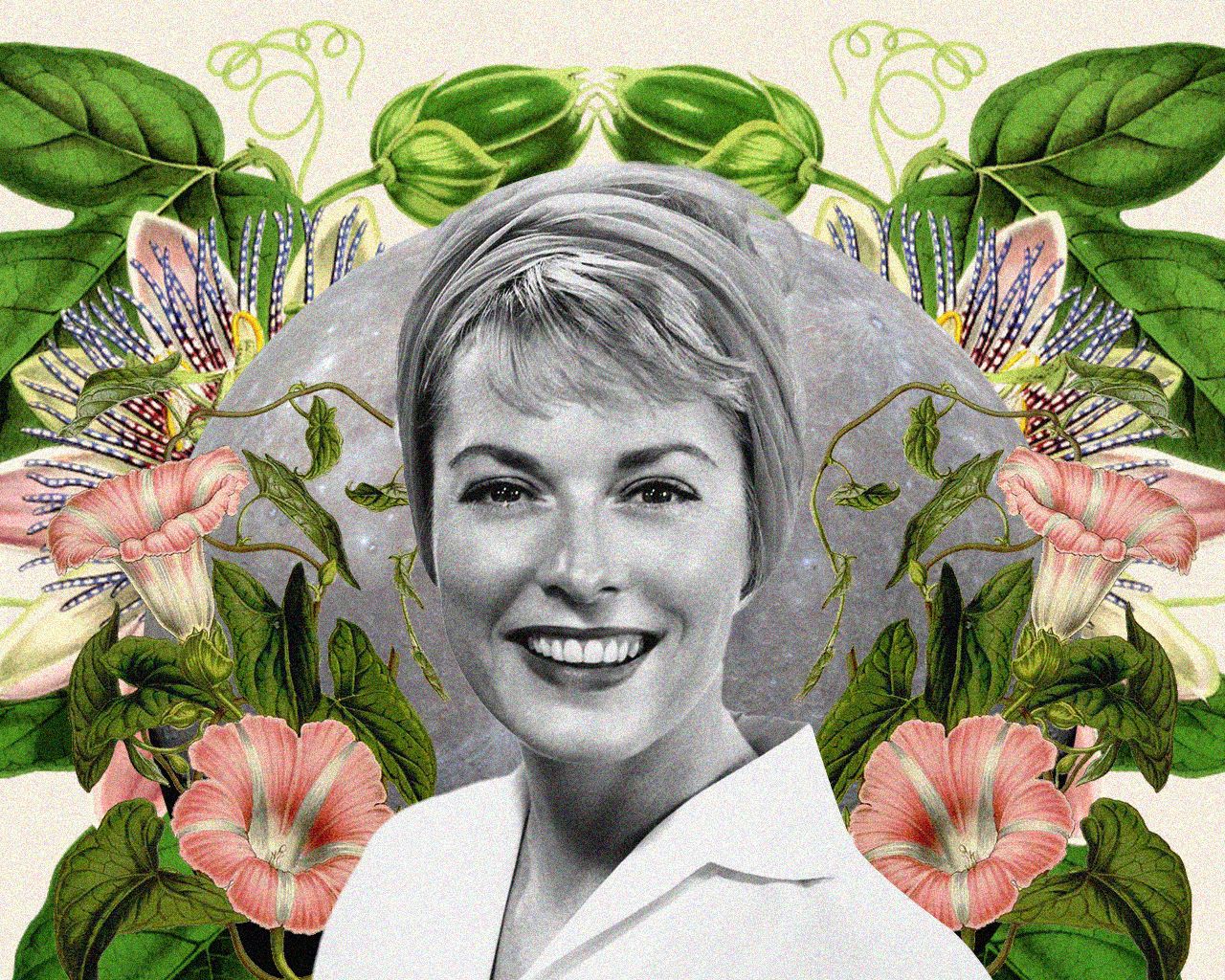 استكشاف دور صور البيكس في العصر الحديث