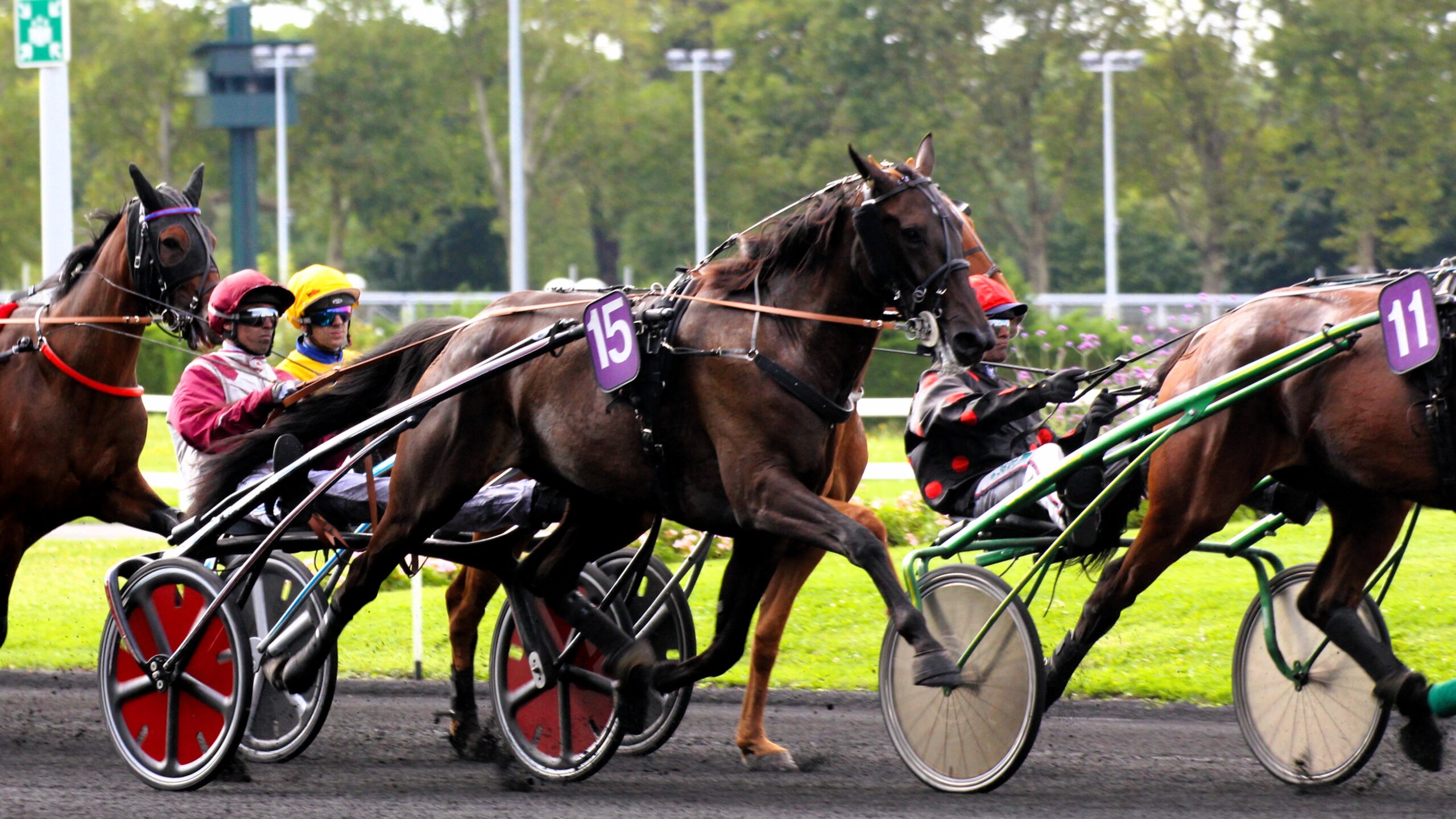 L’Importance des Pronostics PMU pour les Paris Hippiques