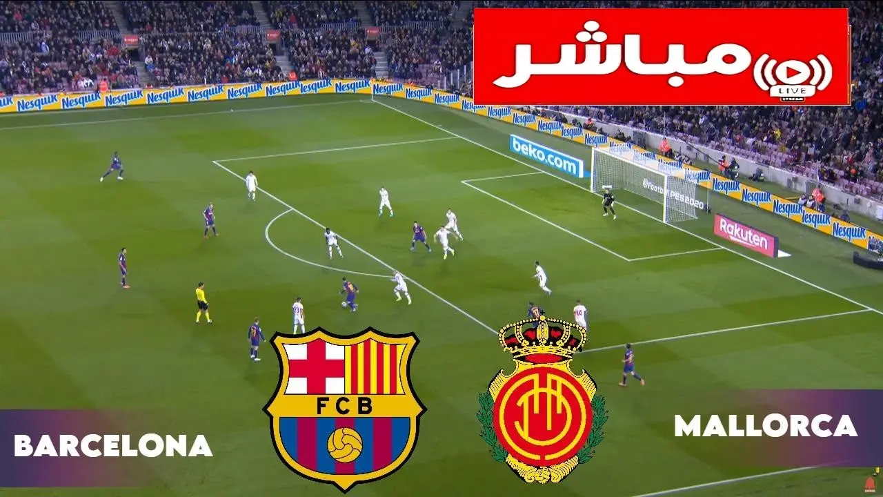 mbarat brshlwnt dd maywrka thlyl wtwqʿat