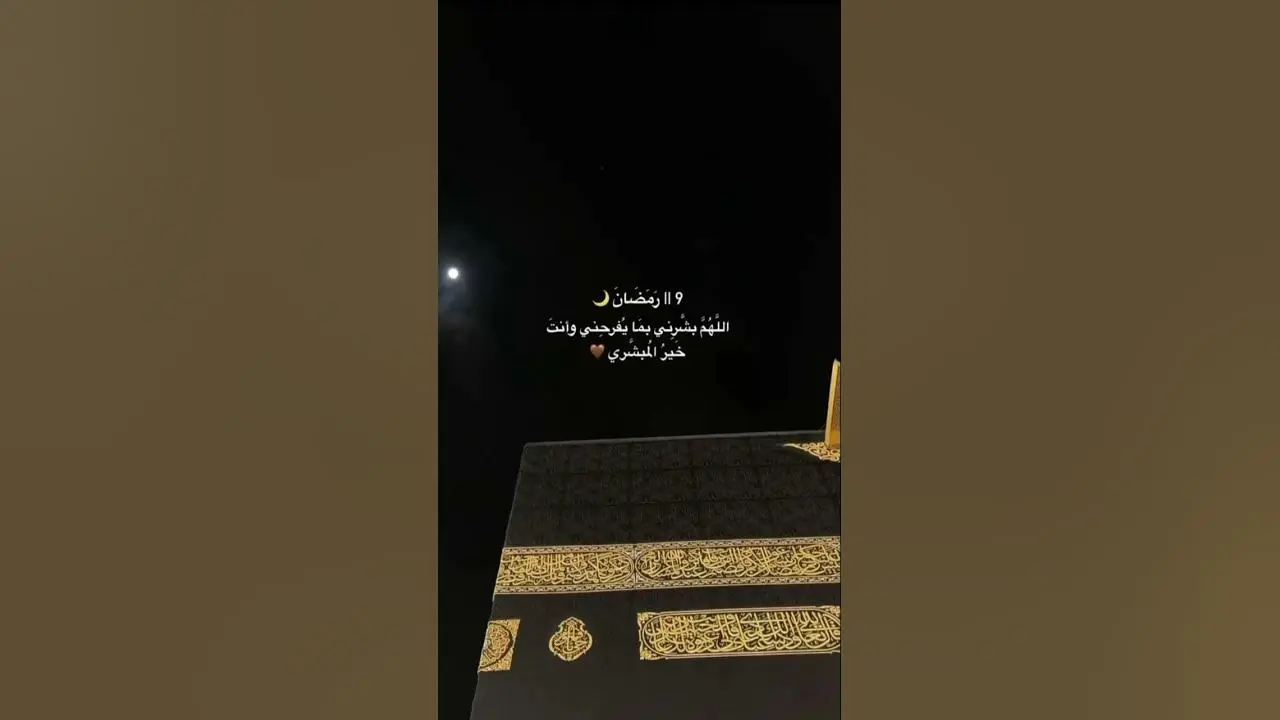 alfnant ʿblt kaml msyrt fnyt mlhmt