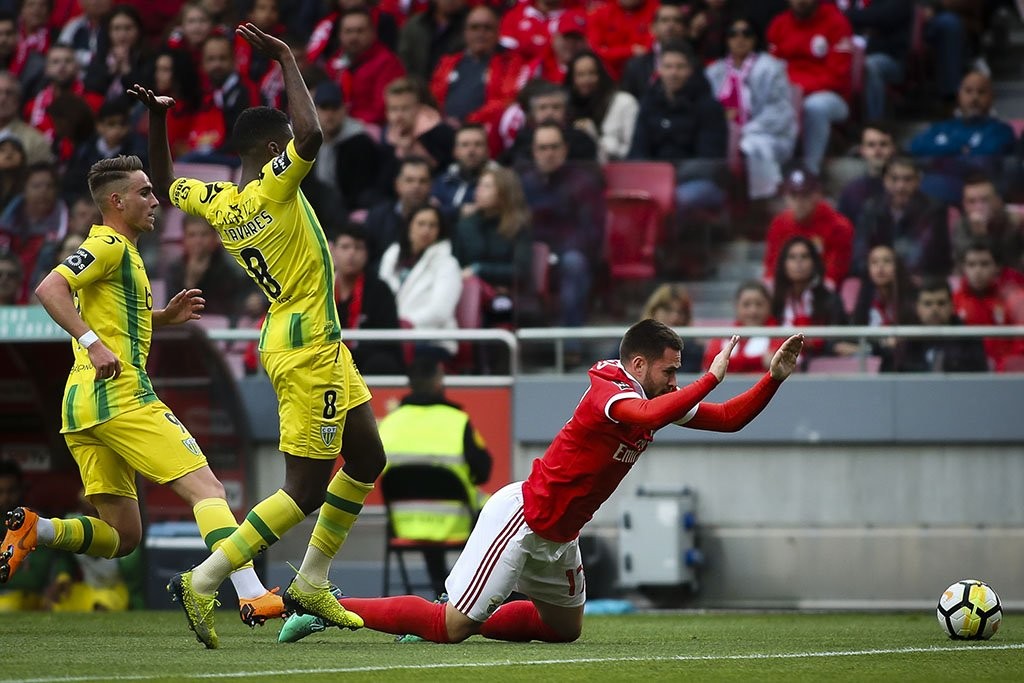 فريق Tondela يواجه بنفيكا في مباراة مصيرية بالدوري البرتغالي
