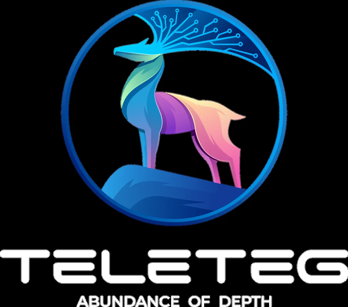 bein sport — MA news