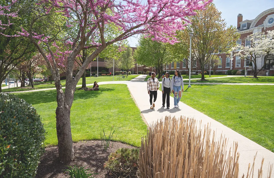 eid al fitr 2026 — MA news