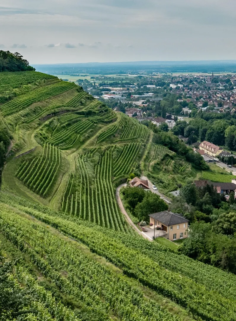 France: مباراة ودية بين البرازيل وفرنسا
