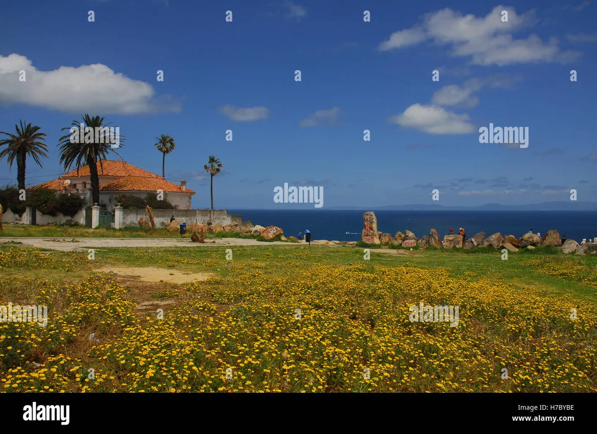 Maroc: المقاولات في المغرب: إحداث 109656 مقاولة حتى نهاية 2025