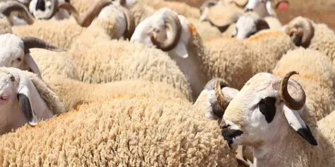 متى عيد الاضحى 2026