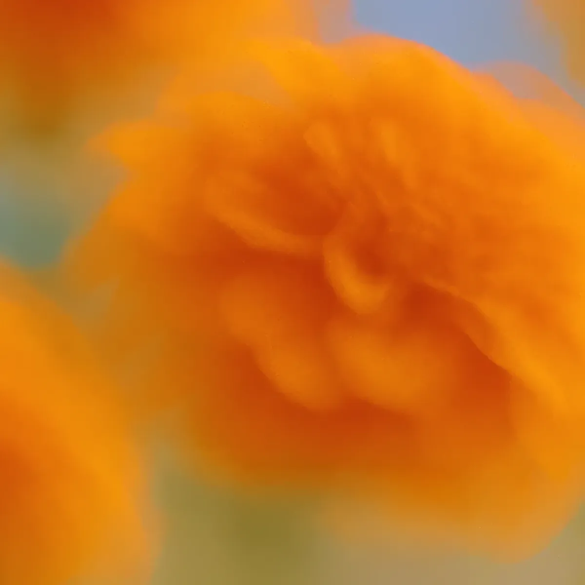 Openai: التطورات الأخيرة حول