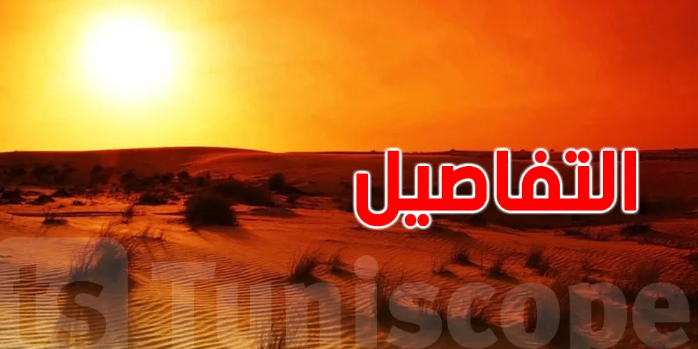 طقس المغرب يؤثر على إنتاج الفواكه الحمراء