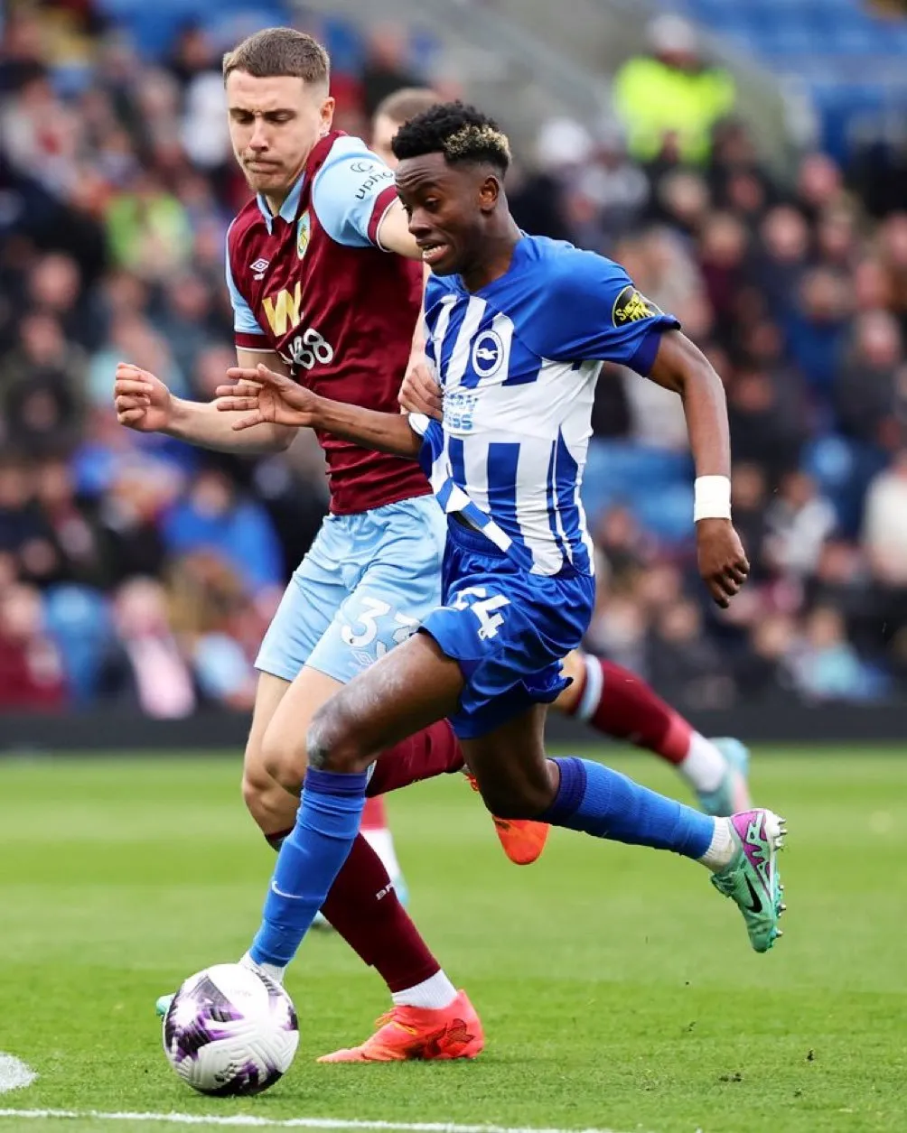 burnley – brighton — MA news